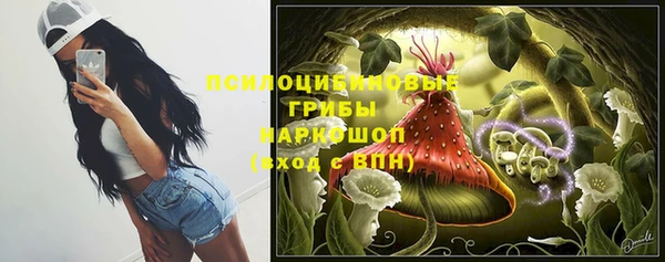 винт Гусиноозёрск