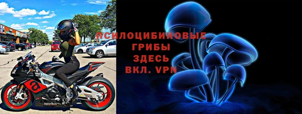 винт Гусиноозёрск