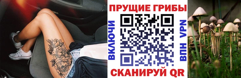 Галлюциногенные грибы Psilocybine cubensis  где можно купить   Рубцовск 